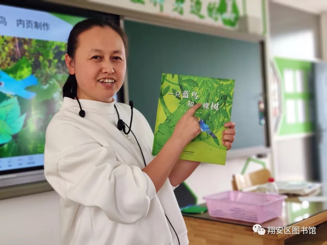 綠葉最新破解版,學習、變化與自信的無限力量之源