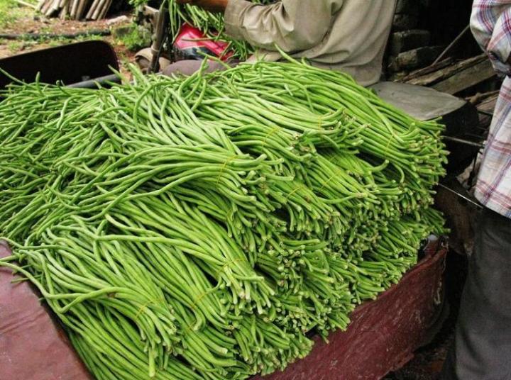 合浦豆角最新價格指南,獲取與比較豆角價格的方法及最新價格更新通知