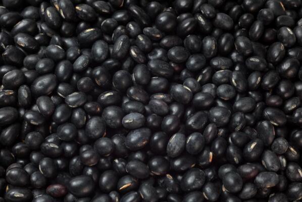 安徽黃豆價(jià)格最新行情與一粒豆子的勵(lì)志故事