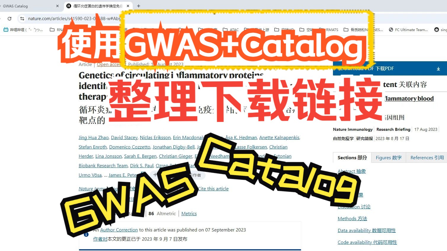 探索小巷秘境,最新GAV地址隱藏特色小店