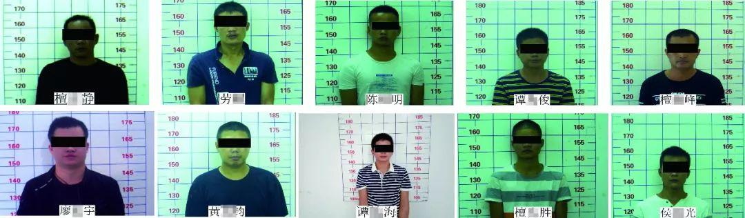 靈山最新打架事件,深度分析與個人觀點觀察