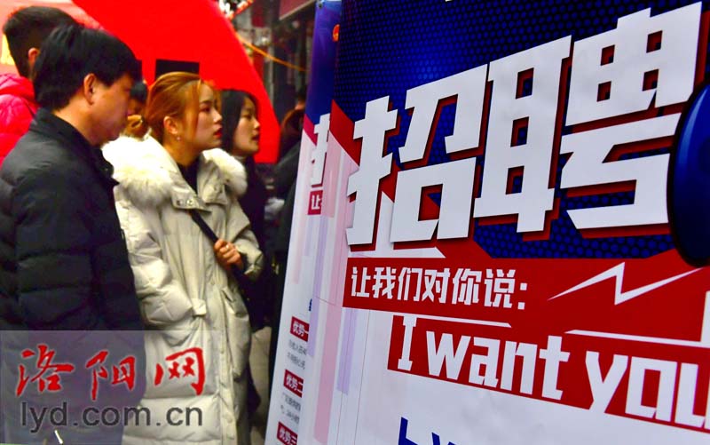 嵩縣最新招聘啟航,自信成就之旅從這里開始