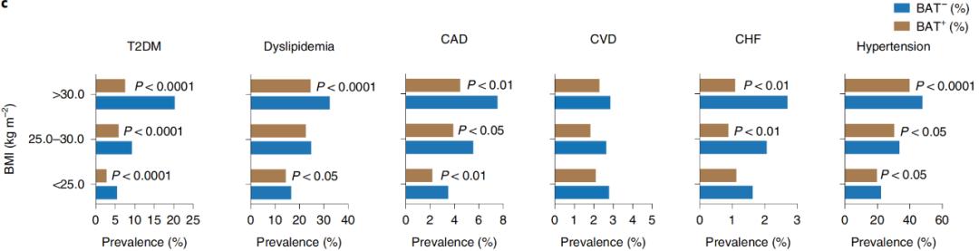 腦疾病最新研究,重塑大腦信心與成就感之路