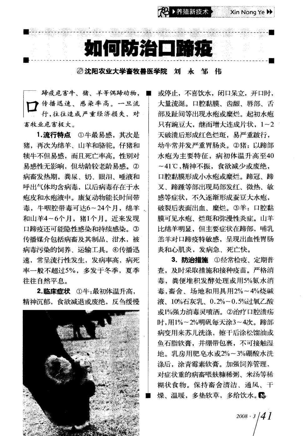 口蹄疫最新科研，自然探險與內(nèi)心平和的追尋之旅