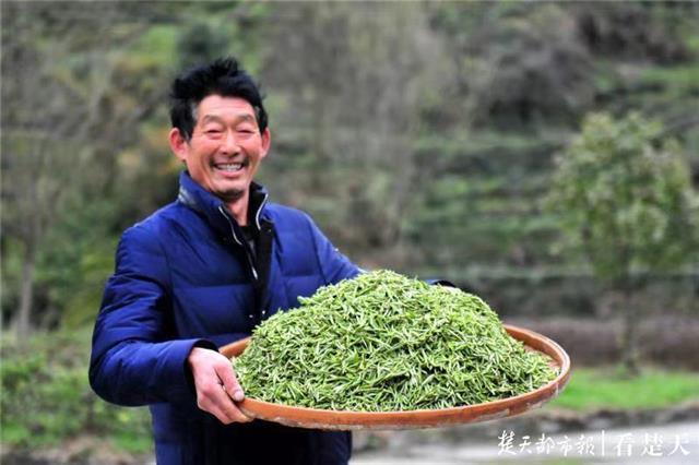 最新夷陵新聞，探索自然美景的旅程，尋覓內心平和之地