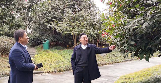 最新花木求購,開啟一場尋綠之旅的溫馨旅程