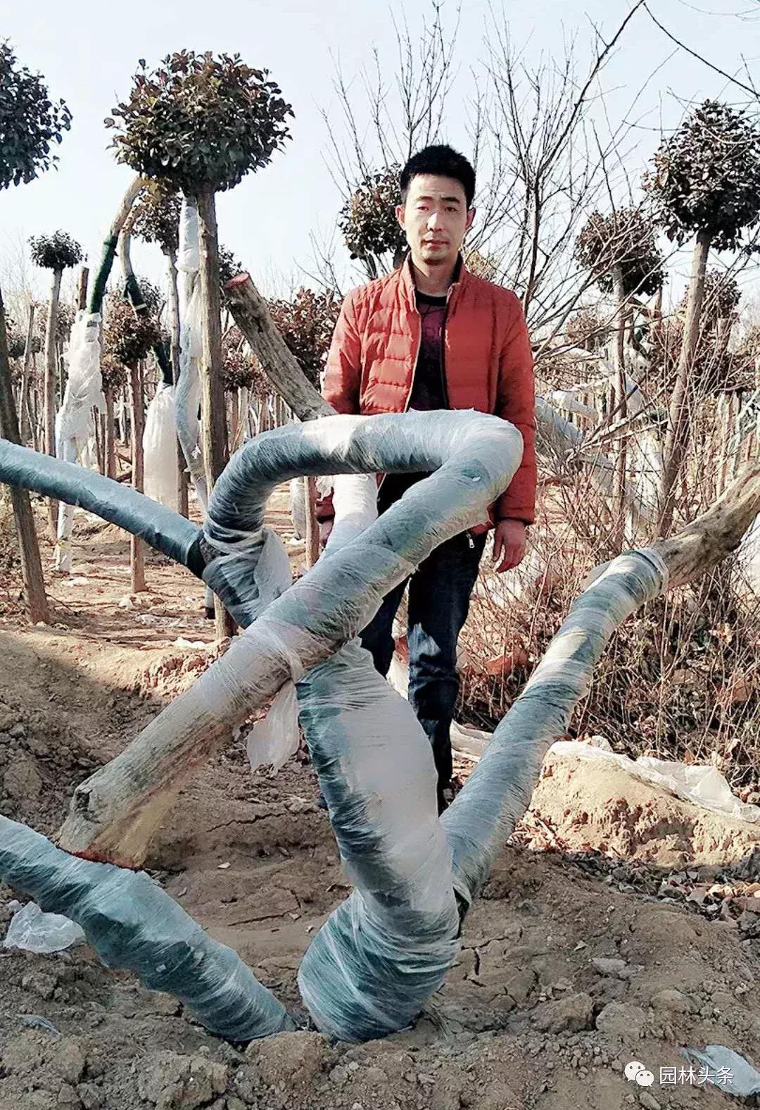 定州最新急招工,時代的呼喚與行業重塑的挑戰