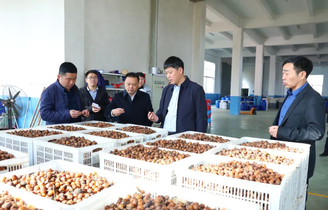 建寧最新新聞,城市溫馨日常與友情力量的展現