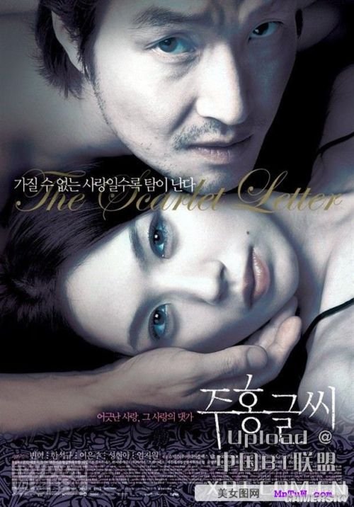 最新內(nèi)地倫理電影探索與啟示，揭示社會(huì)倫理的啟示與價(jià)值