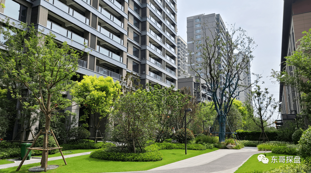 豪色社區最新動態,多元視角下的觀察與解讀報告