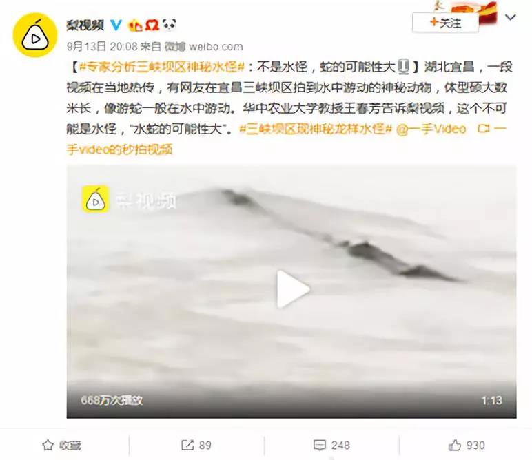 探索神秘水生世界,最新水怪視頻直播揭秘水下奇觀