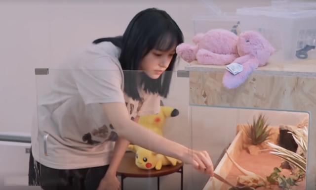 程瀟最新綜藝節(jié)目,心動瞬間,不容錯過!?