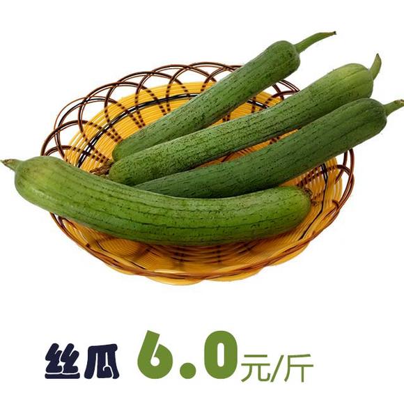 絲瓜價格最新行情??大揭秘!火爆價格走勢一網打盡??