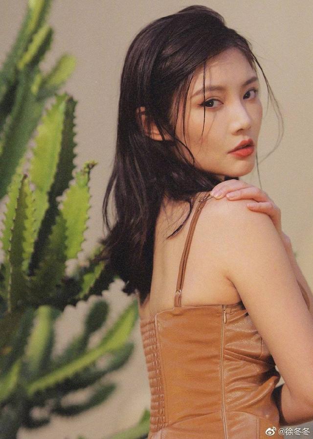 徐冬冬最新電影,科技巨獻重塑生活想象之旅