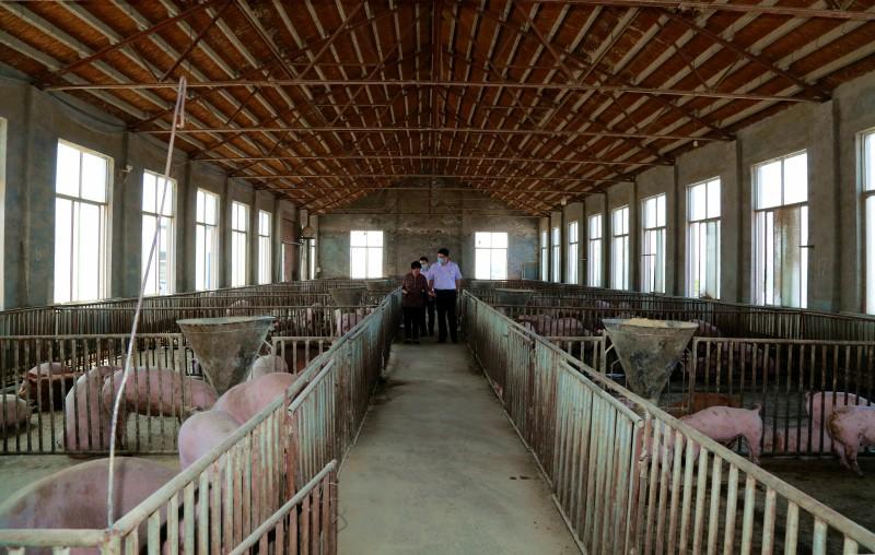 淄川環(huán)保最新動態(tài)深度解析,觀點論述與進(jìn)展報告