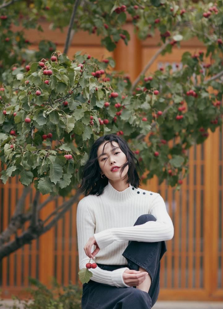 劉雯最新壁紙,時(shí)尚魅力的完美展現(xiàn)