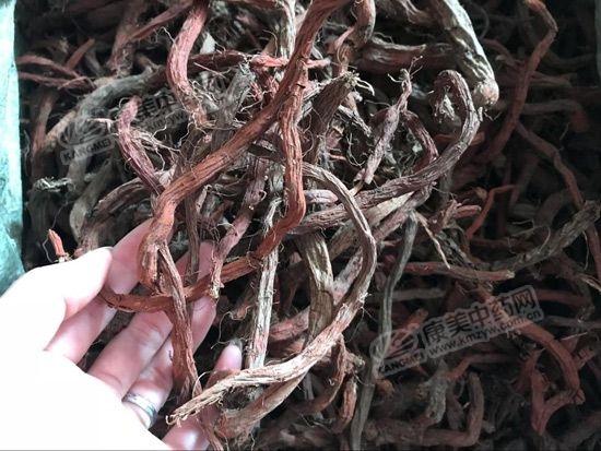 亳州丹參最新價格,市場走勢及選購指南全解析