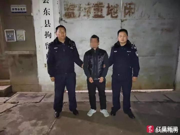 會東最新新聞,縣域發展動態、亮點一網打盡