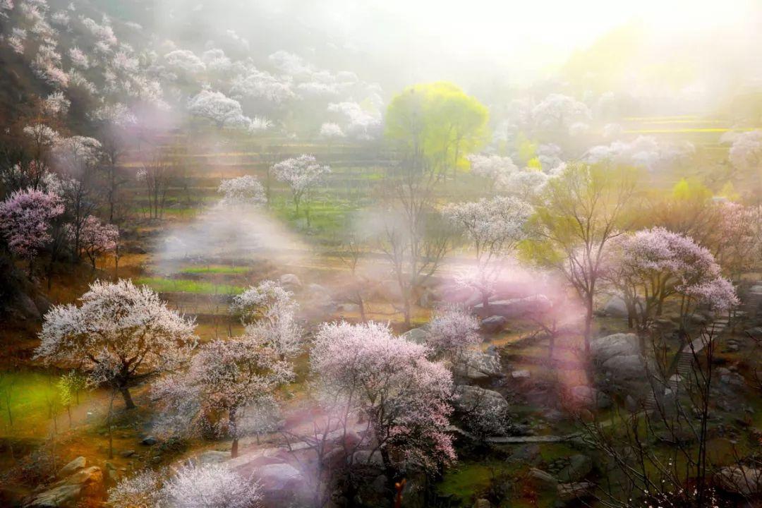 最新贊皇動態解讀,聚焦要點,掌握贊皇最新動態