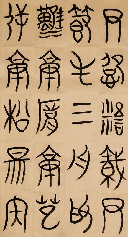 福建最新動態,獲取最新福建消息的途徑與了解地方發展