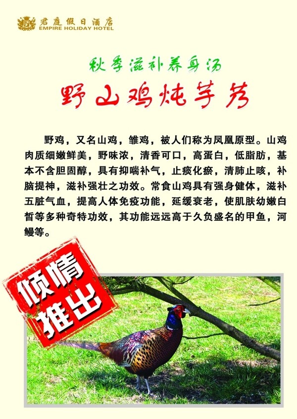 深度剖析,最新山雞的背景、事件與地位概述