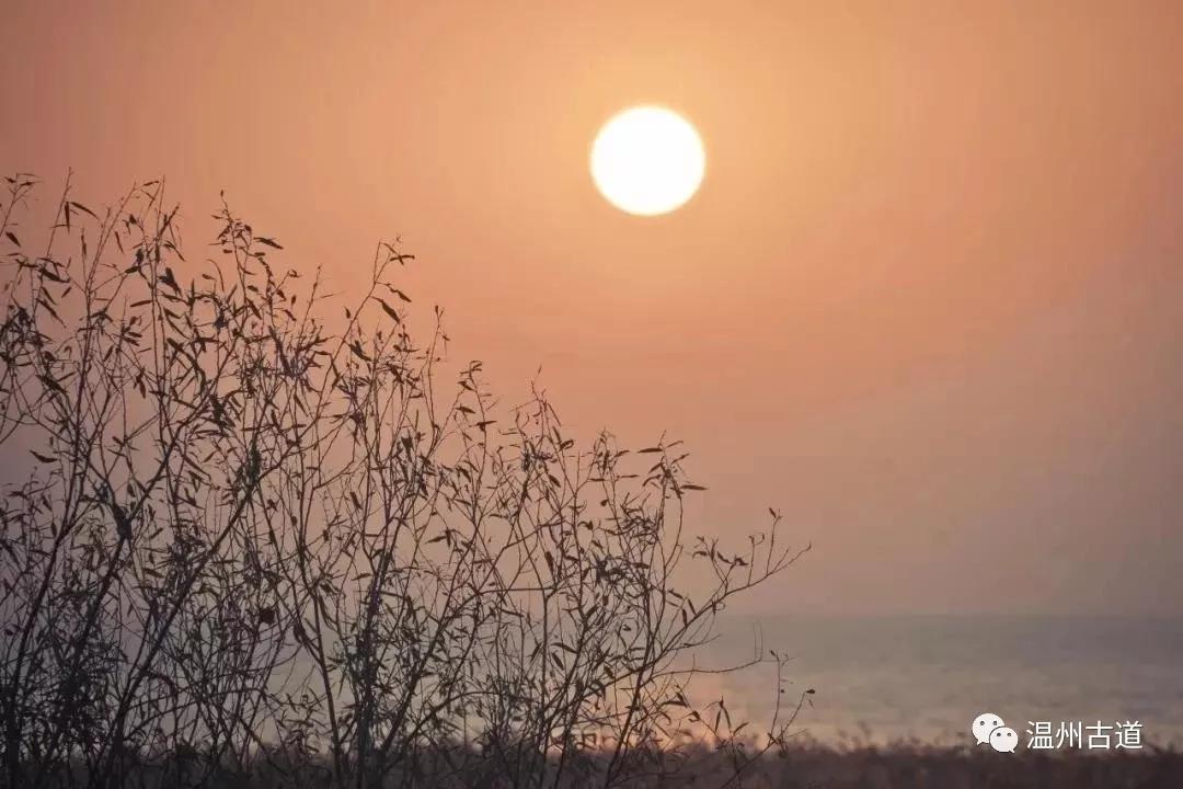 最新瘟疫詩詞,時代之聲與人文關懷的交融展現