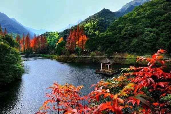 寧海在線,時代的脈搏與地方驕傲的最新動態