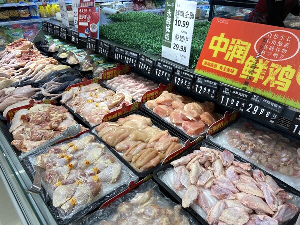 小潘,從默默無聞到閃耀之星的蛻變之路