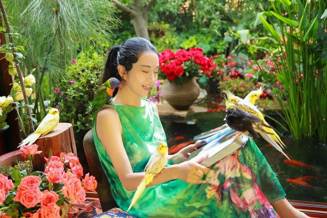 昆明最新舞蹈,文化現(xiàn)象的深度探討