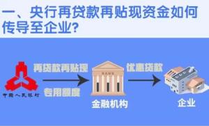 再貼現最新政策與市場動態分析