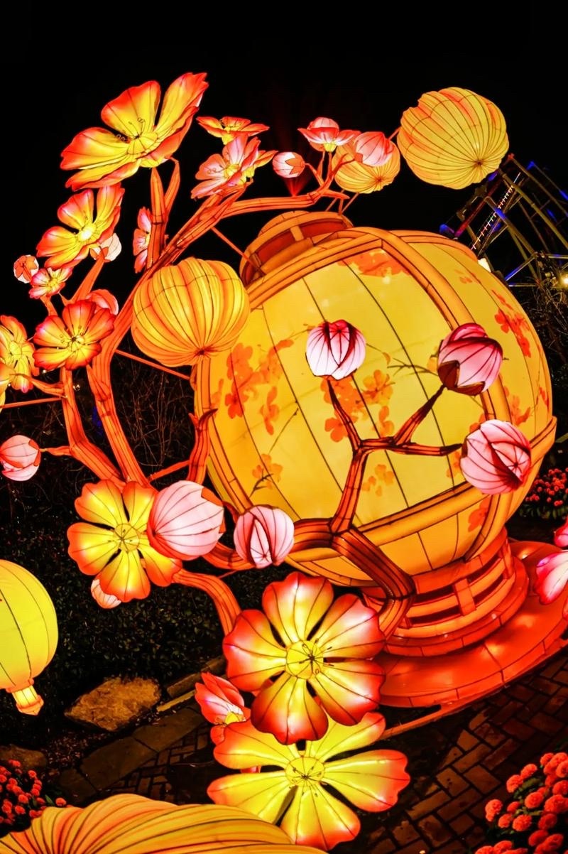最新花燈盛宴,與自然美景共舞,探尋內心平和的浪漫之旅