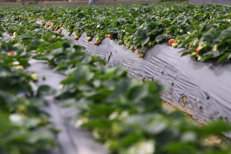 湖北最新封鎖,科技智能重塑防線,守護生活安全