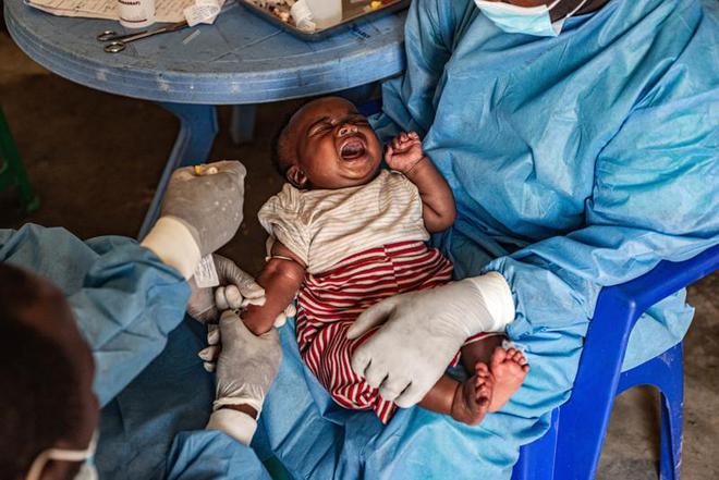 本土感染最新情況,自然美景中的探索之旅