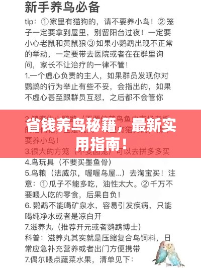 最新養鳥法規解析,觀點闡述與深度探討