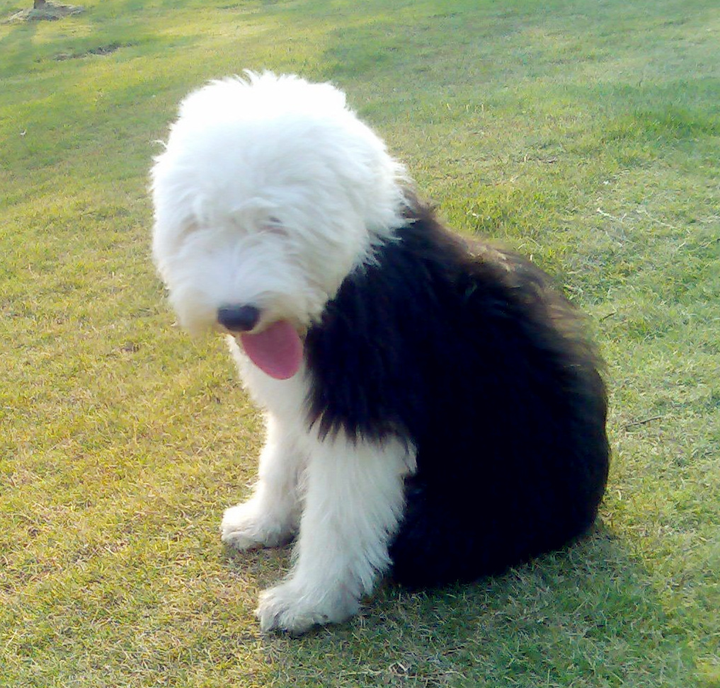 古牧新動向,學習變化,自信前行,與夢想共舞之路