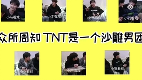 TNT最新簽名,小巷深處的獨(dú)特風(fēng)味探秘