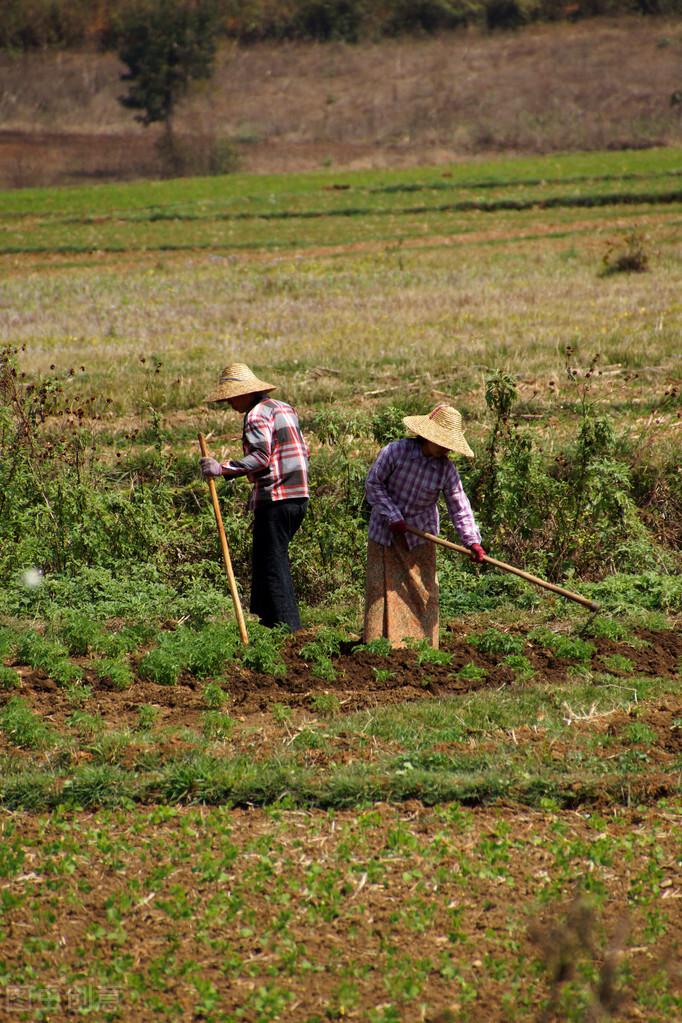 全球新冠疫情最新動(dòng)態(tài)分析,疫情最新消息匯總