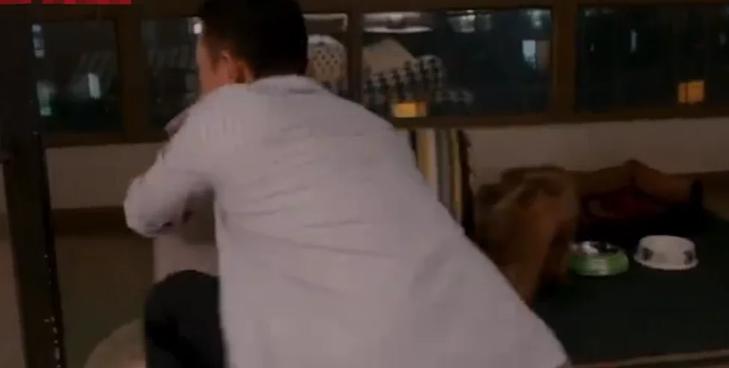 安家最新觀看步驟指南,詳細解讀最新劇情與精彩看點