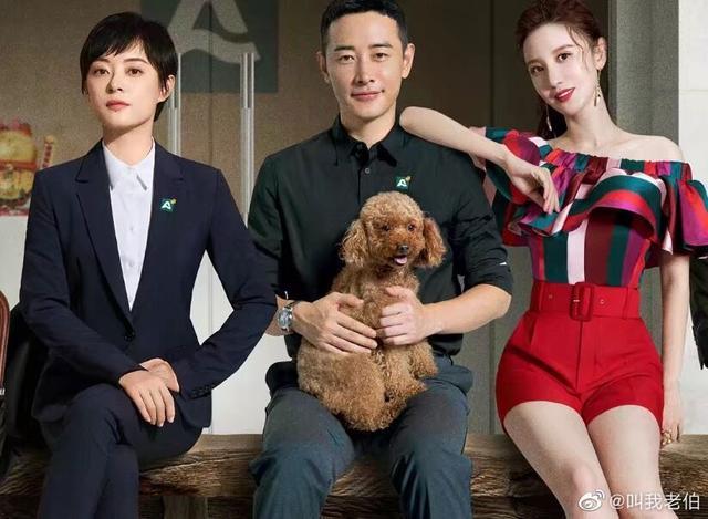 安家最新觀看步驟指南,詳細解讀最新劇情與精彩看點