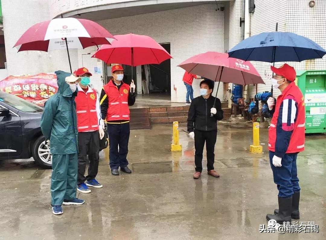 石碣最新疫情動態,變化中的學習,鑄就未來力量