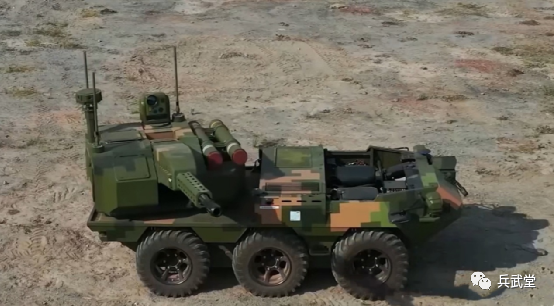 揭秘山貓神秘面紗,三大要點一網打盡!