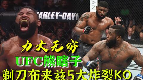 小菊最新比賽,友誼與夢想的絢爛綻放