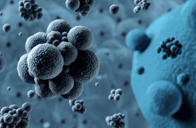 病毒擴散最新情況,自然探險之旅尋求內心平和之地