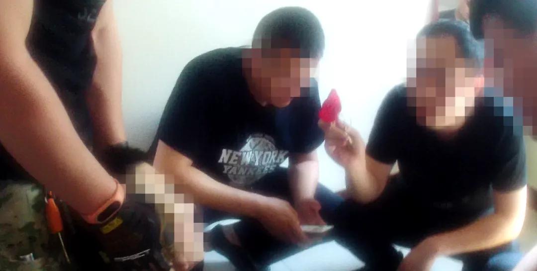 Z先生任務完成與技能學習指南,詳細步驟指南助你輕松上手!