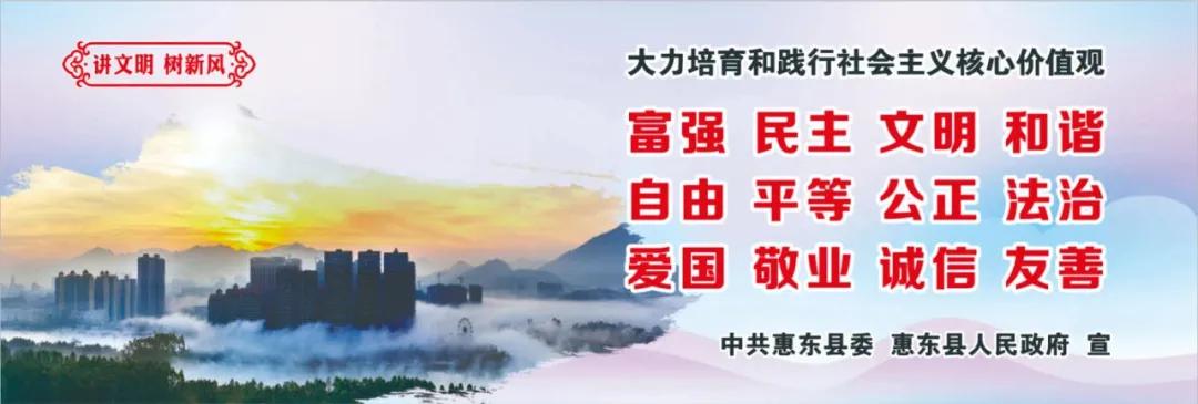 惠州肺炎最新動態,小巷深處的獨特小店背后的故事