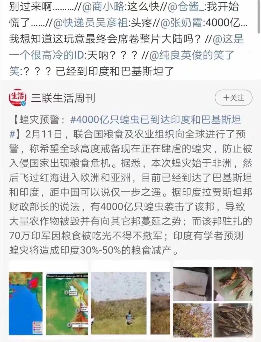 蝗蟲最新動態(tài),防治與監(jiān)測的全面指南