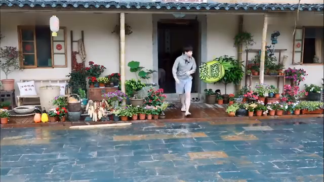 最新蘑菇屋,自然與生活完美融合的夢幻之地