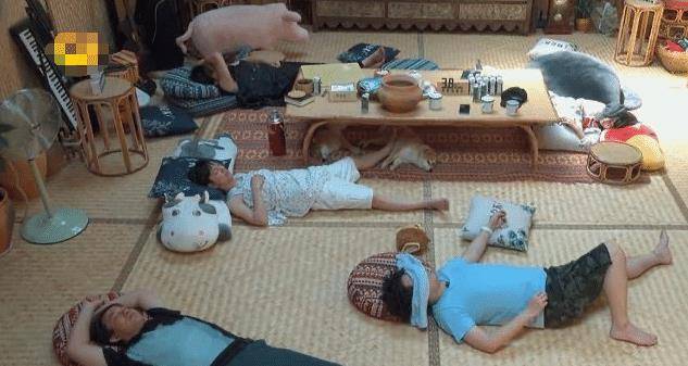 最新蘑菇屋,自然與生活完美融合的夢幻之地