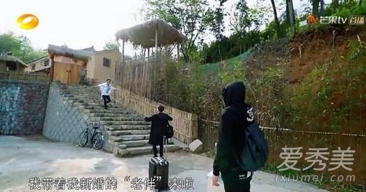 最新蘑菇屋,自然與生活完美融合的夢幻之地