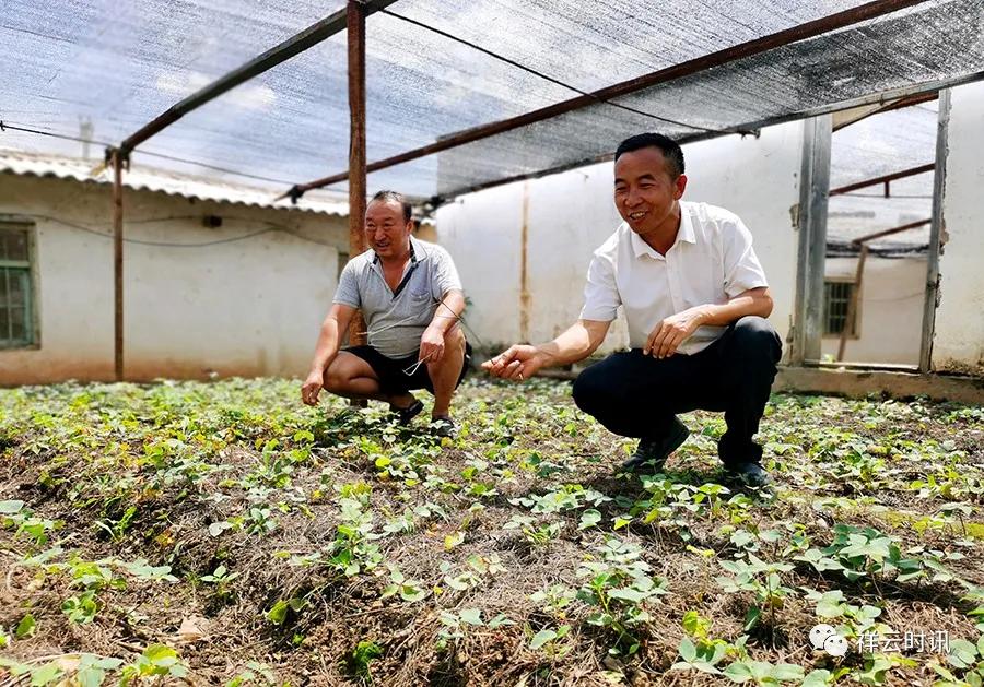 李春景最新觀點論述摘要